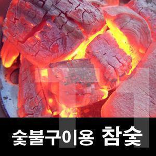 [티원] 화력 좋은 진짜 참숯 1kg 16봉지 (바베큐숯 숯불구이 캠핑숯)